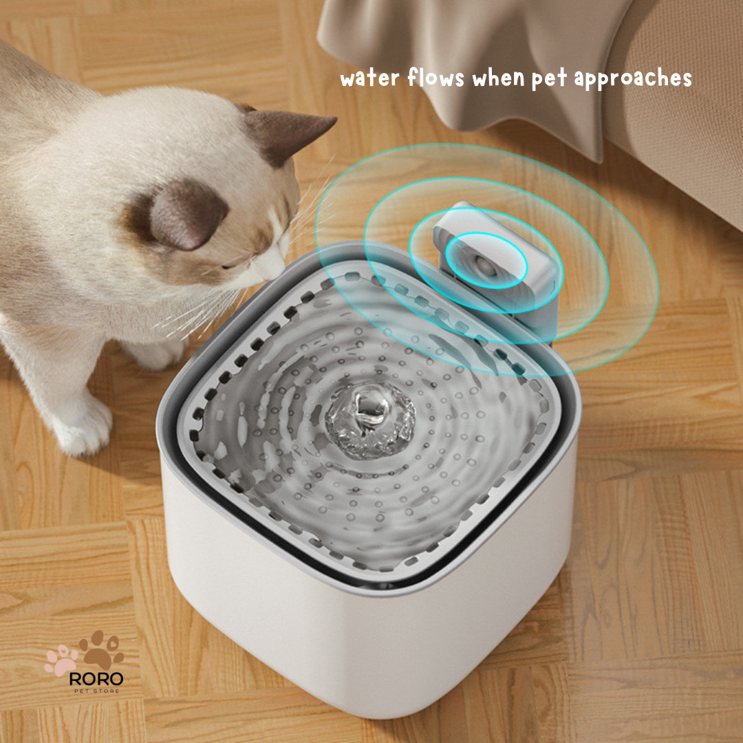 Wireless Pet Water Fountain for Indoor Cats - White, Dark Gray (3L)